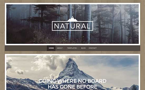 naturallite - Top 59+ Theme WordPress miễn phí đẹp nhất năm 2021 (Mới Update)